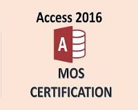 /Upload/100/lec/license_mos_access2016_01711.jpg