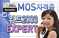 /Upload/100/lec/mos_msword2003expert_1112.gif
